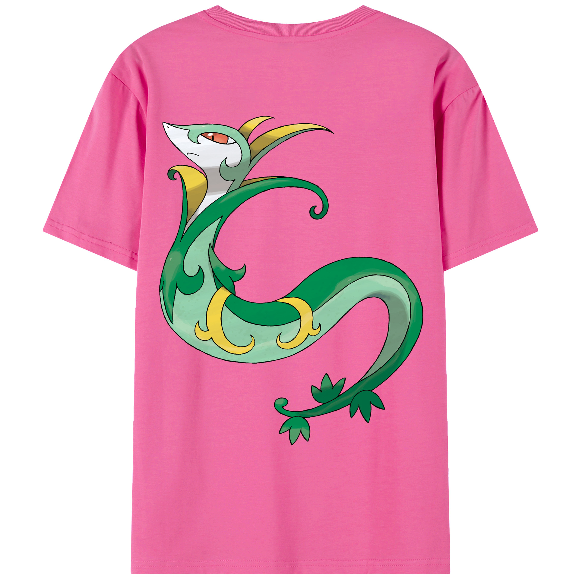 （画像用） ポケットモンスター Pokémon レディース半袖Tシャツ(バックプリント)